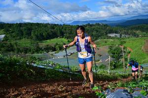 BIB: 
                            <button type="button" onclick="openModal(13381706)" class="btn btn-primary btn-sm float-right btn-popup" data-toggle="modal" data-target=".modal-high-quality">
                        <i class="fas fa-shopping-cart"></i> Add to Cart
                    </button>
                                            <button type="button" onclick="isThisMe(13381706, true)" class="btn btn-success btn-sm float-right btn-popup btn-isme hidden" data-toggle="tooltip" data-placement="bottom" title="นี่คือรูปของคุณใช่ไหม คลิกที่นี่เพื่อเอาเข้าอัลบั้ม">
                        <i class="fas fa-plus"></i> Add to album
                    </button>
                    <button type="button" onclick="isThisMe(13381706, false)" class="btn btn-warning btn-sm float-right btn-popup btn-isnotme hidden">
                        <i class="fas fa-ban"></i> Remove from album
                    </button>